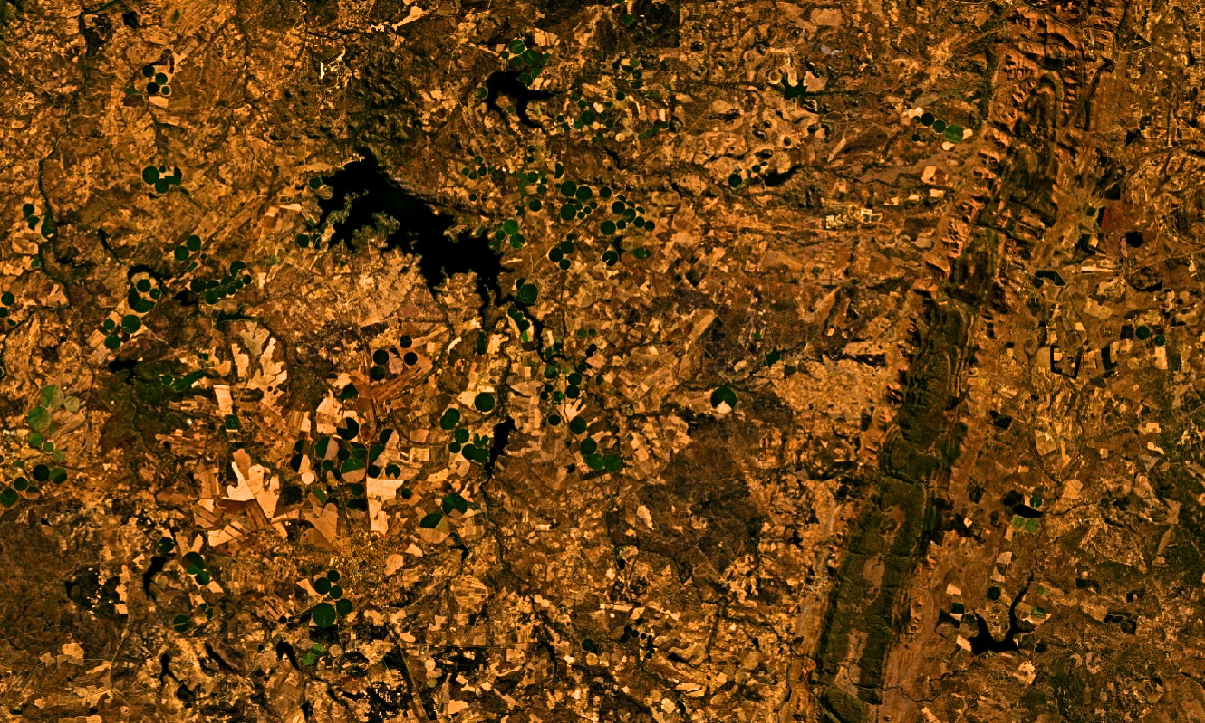 Satellite agricultural imagery