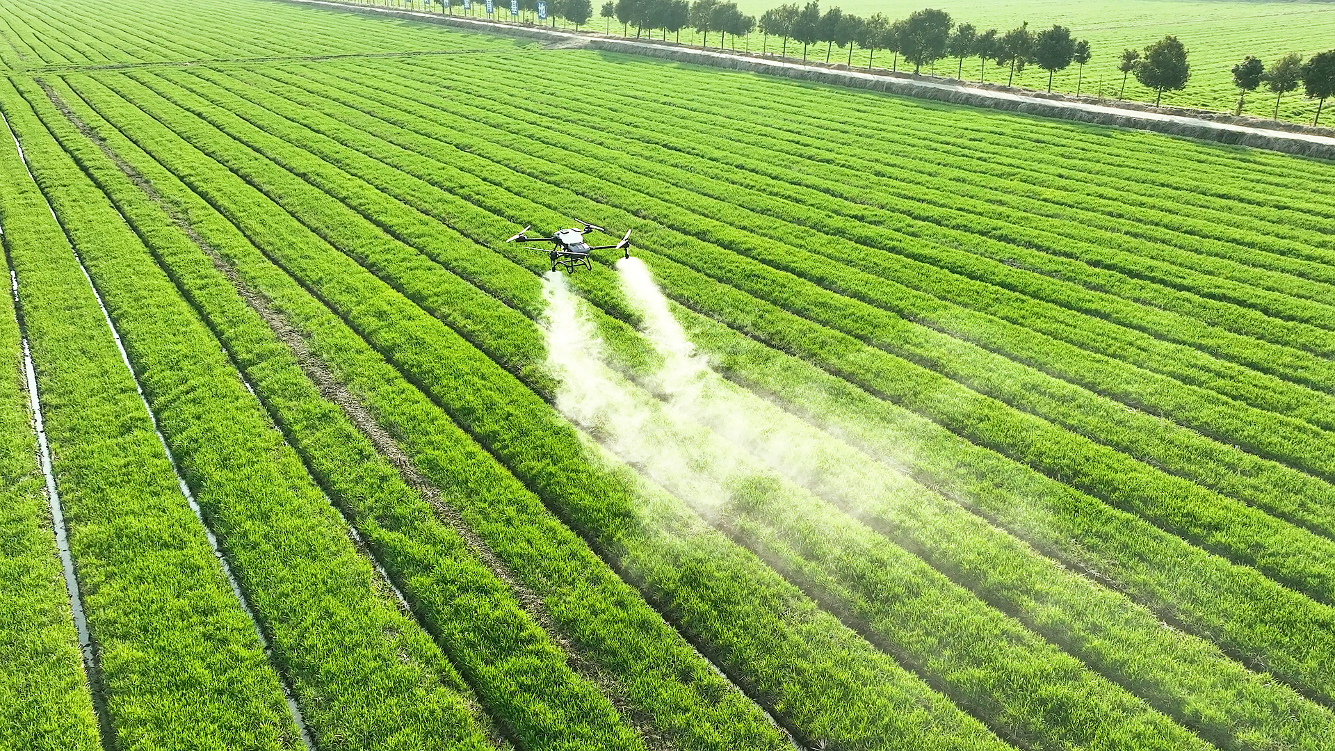 Agricultural drone over fields