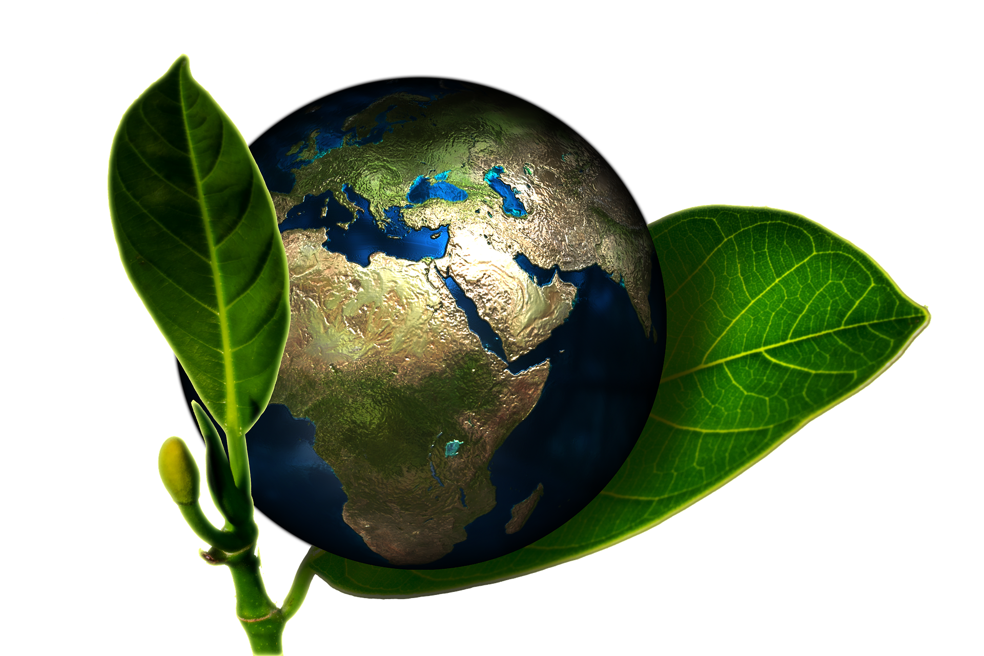 Climate and sustainability